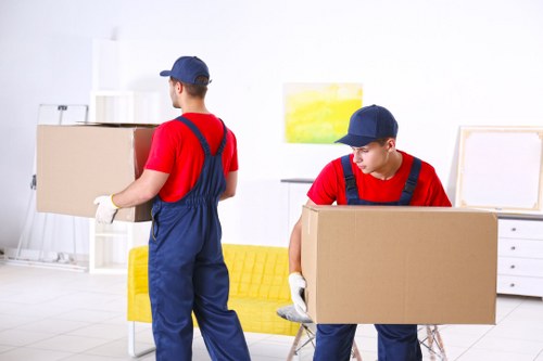 Flexible student storage space for furniture and boxes in Strawberryhill
